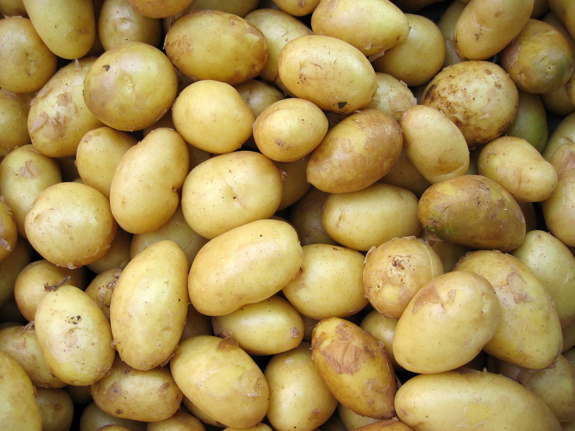 Potato - Herges Capital Management